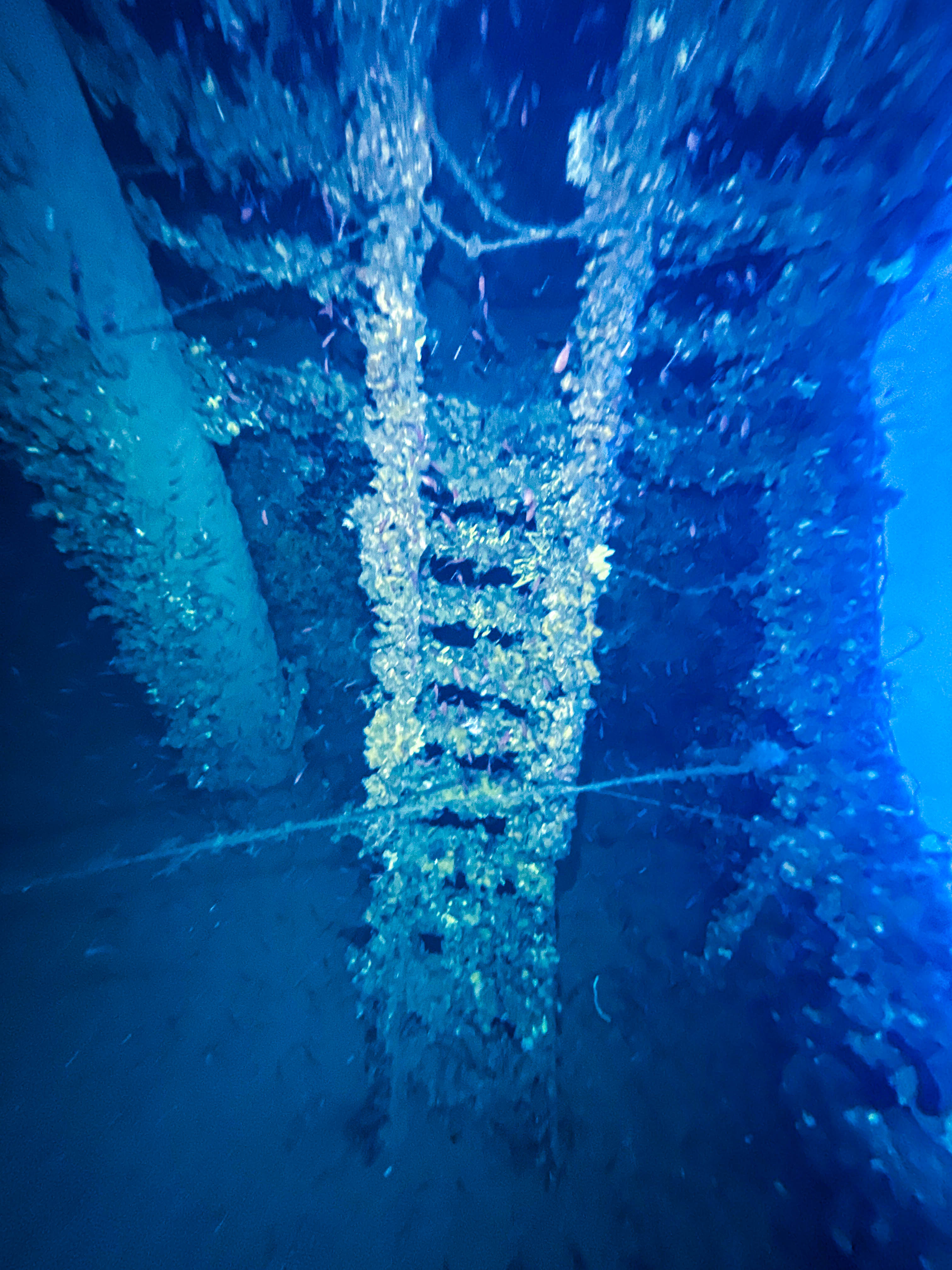 Relitto TIRPITZ